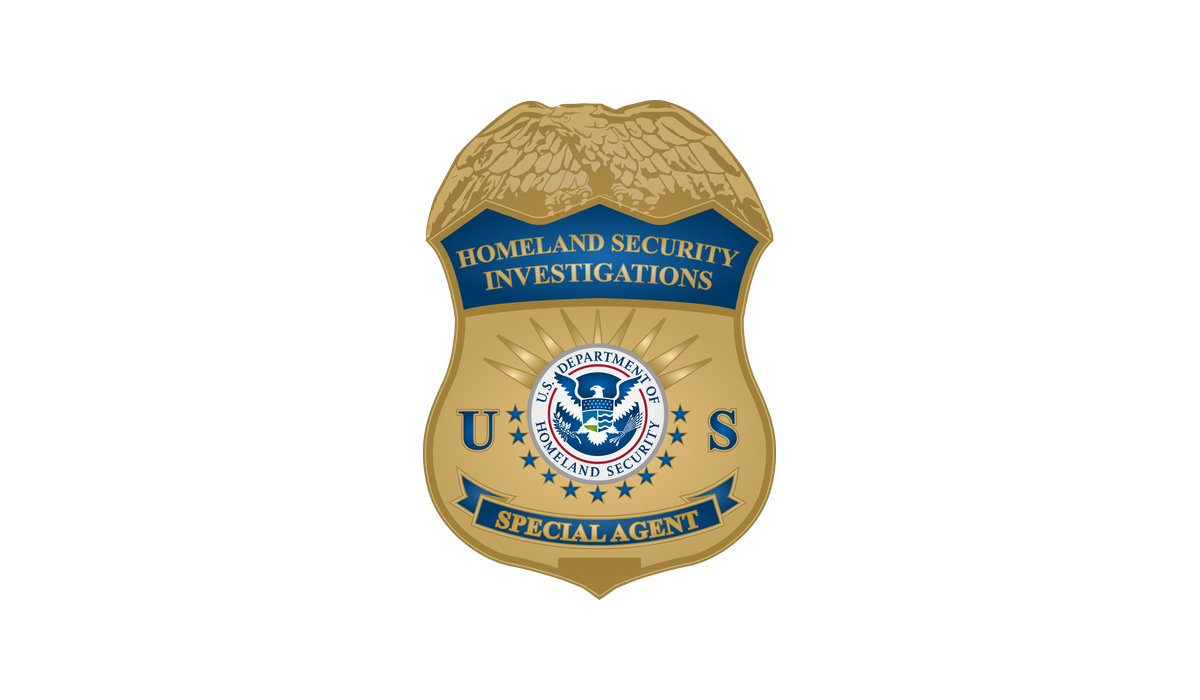 Homeland Security Investigations